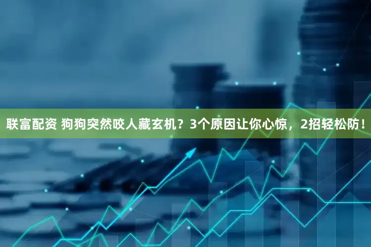 联富配资 狗狗突然咬人藏玄机？3个原因让你心惊，2招轻松防！