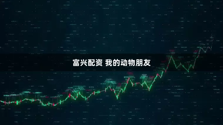 富兴配资 我的动物朋友